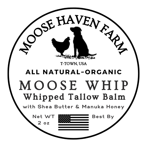 The Wonder of Moose Whip