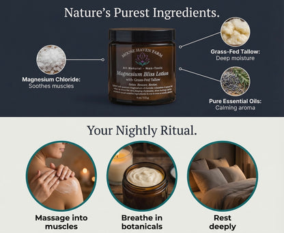 Magnesium Bliss Lotion – Relaxation & Deep Hydration | Grass-Fed Tallow, Shea Butter, Magnesium Chloride, and Essential Oils | Non-Toxic, Small-Batch, Natural Skincare (4 oz)